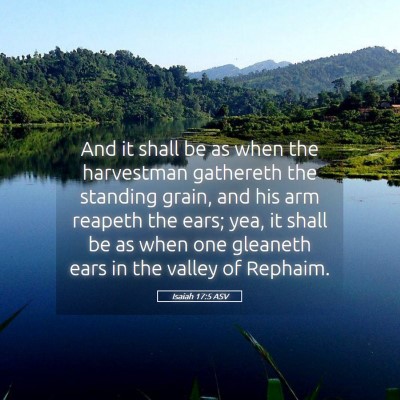 Picture 05 - Isaiah 17:5 ASV - And it shall be as when the harvestman gathereth - Bible Verse Picture