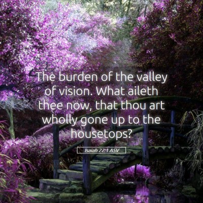 Picture 05 - Isaiah 22:1 ASV - The burden of the valley of vision. What aileth - Bible Verse Picture