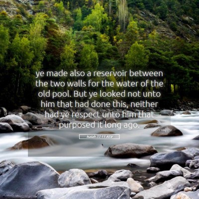 Picture 05 - Isaiah 22:11 ASV - ye made also a reservoir between the two walls - Bible Verse Picture