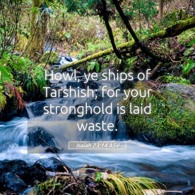 Picture 05 - Isaiah 23:14 ASV - Howl, ye ships of Tarshish; for your stronghold - Bible Verse Picture
