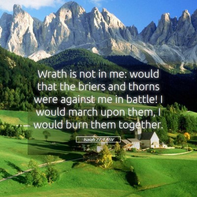 Picture 05 - Isaiah 27:4 ASV - Wrath is not in me: would that the briers and - Bible Verse Picture
