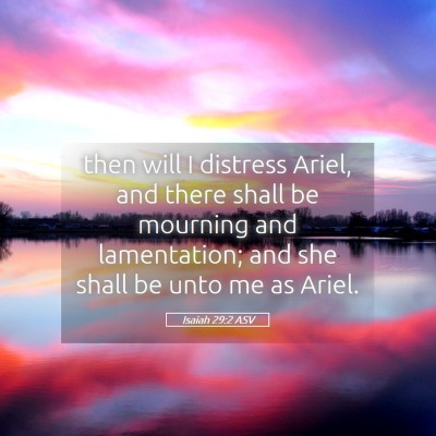 Picture 05 - Isaiah 29:2 ASV - then will I distress Ariel, and there shall be - Bible Verse Picture