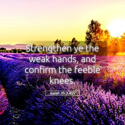 Picture 05 - Isaiah 35:3 ASV - Strengthen ye the weak hands, and confirm the - Bible Verse Picture