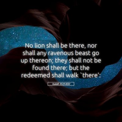 Picture 05 - Isaiah 35:9 ASV - No lion shall be there, nor shall any ravenous - Bible Verse Picture