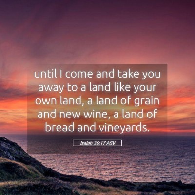 Picture 05 - Isaiah 36:17 ASV - until I come and take you away to a land like - Bible Verse Picture