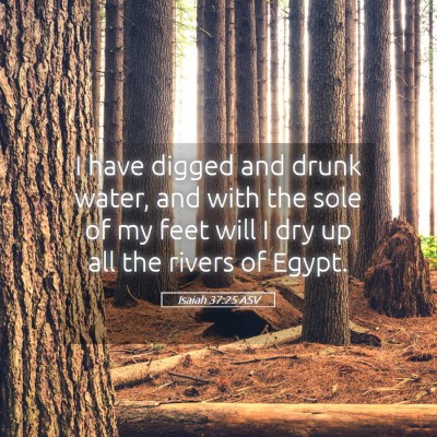 Picture 05 - Isaiah 37:25 ASV - I have digged and drunk water, and with the sole - Bible Verse Picture
