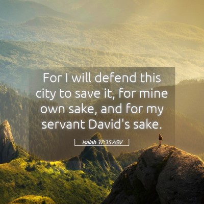 Picture 05 - Isaiah 37:35 ASV - For I will defend this city to save it, for mine - Bible Verse Picture