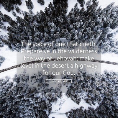 Picture 05 - Isaiah 40:3 ASV - The voice of one that crieth, Prepare ye in the - Bible Verse Picture