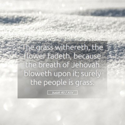 Picture 05 - Isaiah 40:7 ASV - The grass withereth, the flower fadeth, because - Bible Verse Picture