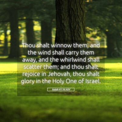 Picture 05 - Isaiah 41:16 ASV - Thou shalt winnow them, and the wind shall carry - Bible Verse Picture