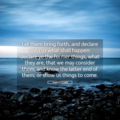 Picture 05 - Isaiah 41:22 ASV - Let them bring forth, and declare unto us what - Bible Verse Picture