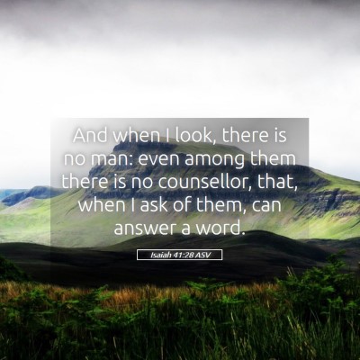 Picture 05 - Isaiah 41:28 ASV - And when I look, there is no man: even among them - Bible Verse Picture