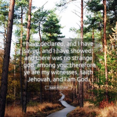 Picture 05 - Isaiah 43:12 ASV - I have declared, and I have saved, and I have - Bible Verse Picture