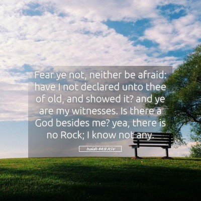 Picture 05 - Isaiah 44:8 ASV - Fear ye not, neither be afraid: have I not - Bible Verse Picture