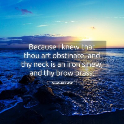 Picture 05 - Isaiah 48:4 ASV - Because I knew that thou art obstinate, and thy - Bible Verse Picture