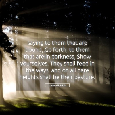Picture 05 - Isaiah 49:9 ASV - saying to them that are bound, Go forth; to them - Bible Verse Picture