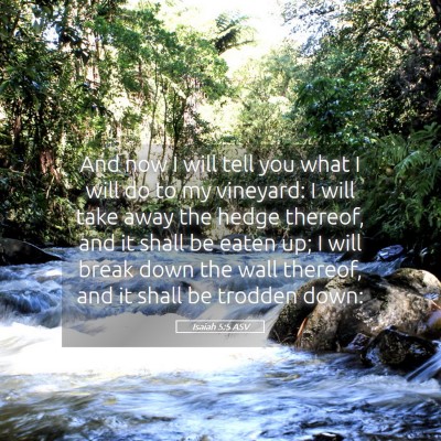 Picture 05 - Isaiah 5:5 ASV - And now I will tell you what I will do to my - Bible Verse Picture