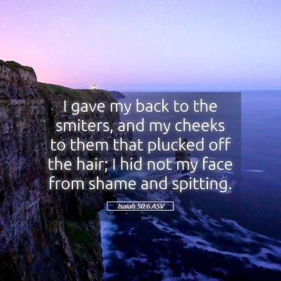 Picture 05 - Isaiah 50:6 ASV - I gave my back to the smiters, and my cheeks to - Bible Verse Picture
