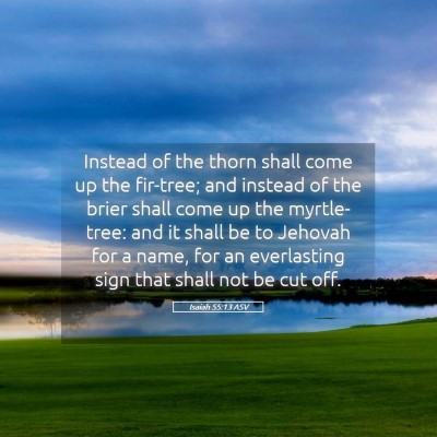 Picture 05 - Isaiah 55:13 ASV - Instead of the thorn shall come up the fir-tree; - Bible Verse Picture