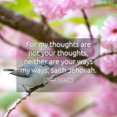 Picture 05 - Isaiah 55:8 ASV - For my thoughts are not your thoughts, neither - Bible Verse Picture