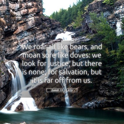 Picture 05 - Isaiah 59:11 ASV - We roar all like bears, and moan sore like doves: - Bible Verse Picture