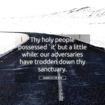 Picture 05 - Isaiah 63:18 ASV - Thy holy people possessed `it' but a little - Bible Verse Picture