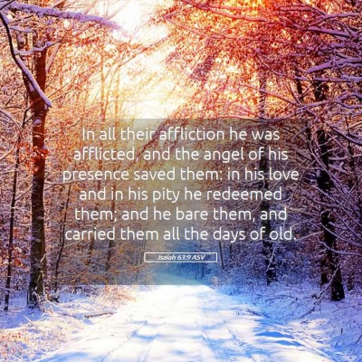 Picture 05 - Isaiah 63:9 ASV - In all their affliction he was afflicted, and the - Bible Verse Picture