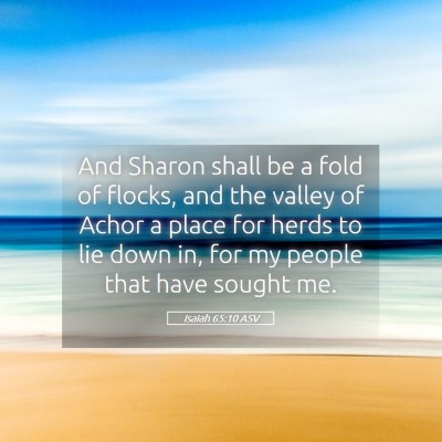 Picture 05 - Isaiah 65:10 ASV - And Sharon shall be a fold of flocks, and the - Bible Verse Picture