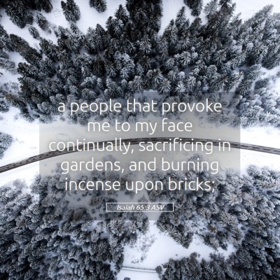 Picture 05 - Isaiah 65:3 ASV - a people that provoke me to my face continually, - Bible Verse Picture