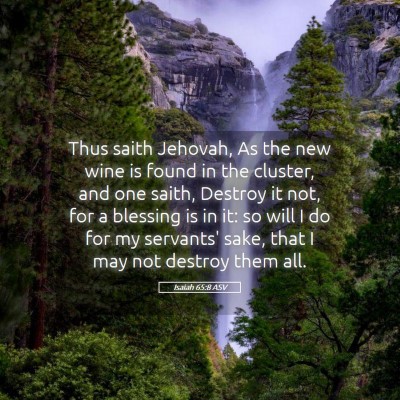 Picture 05 - Isaiah 65:8 ASV - Thus saith Jehovah, As the new wine is found in - Bible Verse Picture