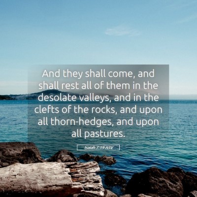 Picture 05 - Isaiah 7:19 ASV - And they shall come, and shall rest all of them - Bible Verse Picture