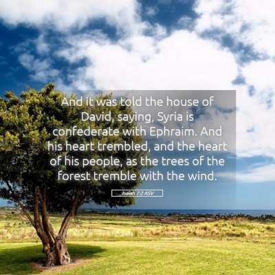 Picture 05 - Isaiah 7:2 ASV - And it was told the house of David, saying, Syria - Bible Verse Picture