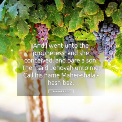 Picture 05 - Isaiah 8:3 ASV - And I went unto the prophetess; and she - Bible Verse Picture