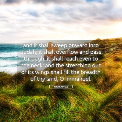 Picture 05 - Isaiah 8:8 ASV - and it shall sweep onward into Judah; it shall - Bible Verse Picture