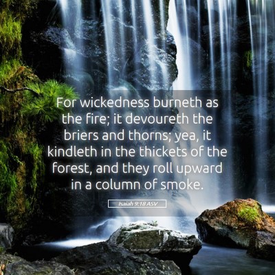 Picture 05 - Isaiah 9:18 ASV - For wickedness burneth as the fire; it devoureth - Bible Verse Picture