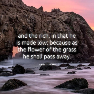 Picture 05 - James 1:10 ASV - and the rich, in that he is made low: because as - Bible Verse Picture