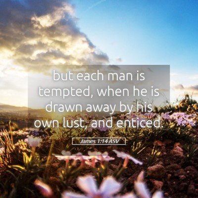 Picture 05 - James 1:14 ASV - but each man is tempted, when he is drawn away by - Bible Verse Picture