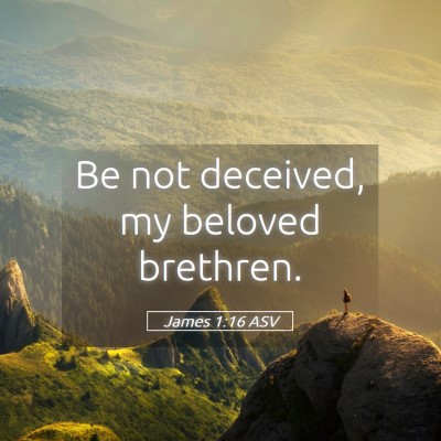 Picture 05 - James 1:16 ASV - Be not deceived, my beloved - Bible Verse Picture