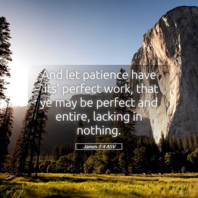 Picture 05 - James 1:4 ASV - And let patience have `its' perfect work, that ye - Bible Verse Picture