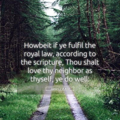Picture 05 - James 2:8 ASV - Howbeit if ye fulfil the royal law, according to - Bible Verse Picture
