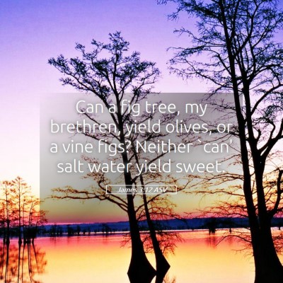 Picture 05 - James 3:12 ASV - Can a fig tree, my brethren, yield olives, or a - Bible Verse Picture