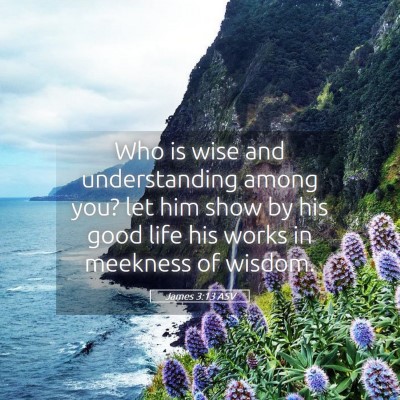 Picture 05 - James 3:13 ASV - Who is wise and understanding among you? let him - Bible Verse Picture