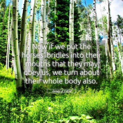 Picture 05 - James 3:3 ASV - Now if we put the horses' bridles into their - Bible Verse Picture