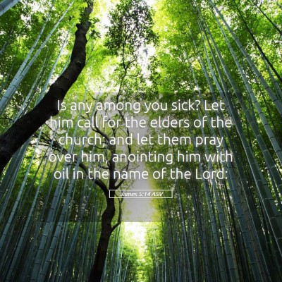 Picture 05 - James 5:14 ASV - Is any among you sick? Let him call for the - Bible Verse Picture