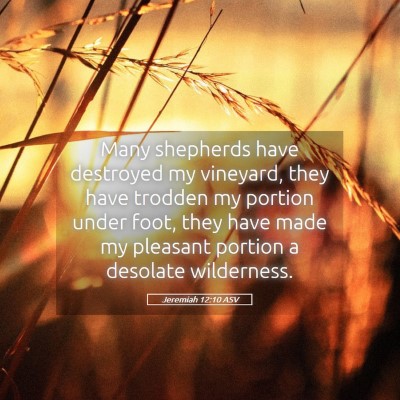 Picture 05 - Jeremiah 12:10 ASV - Many shepherds have destroyed my vineyard, they - Bible Verse Picture