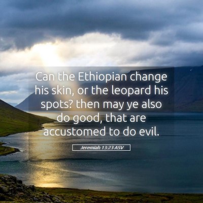 Picture 05 - Jeremiah 13:23 ASV - Can the Ethiopian change his skin, or the leopard - Bible Verse Picture