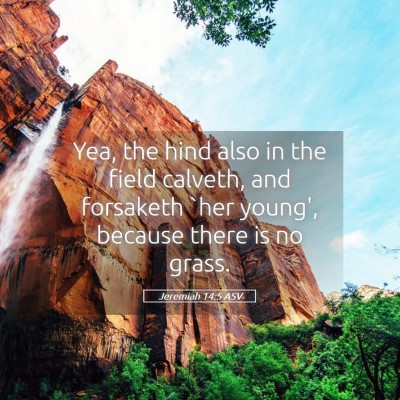 Picture 05 - Jeremiah 14:5 ASV - Yea, the hind also in the field calveth, and - Bible Verse Picture