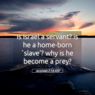 Picture 05 - Jeremiah 2:14 ASV - Is Israel a servant? is he a home-born `slave'? - Bible Verse Picture