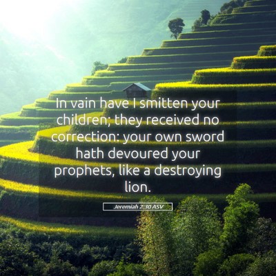 Picture 05 - Jeremiah 2:30 ASV - In vain have I smitten your children; they - Bible Verse Picture
