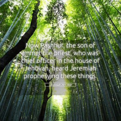 Picture 05 - Jeremiah 20:1 ASV - Now Pashhur, the son of Immer the priest, who was - Bible Verse Picture